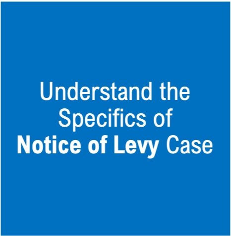 IRS Notice of Levy document example